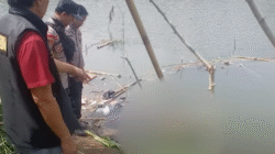Mayat Wanita Ditemukan Mengambang di Waduk Saguling