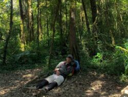 Pendaki Pemula Wajib Coba! Ini Daftar Gunung Terbaik di Jawa Barat