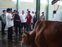 Kang Rey dan Kang Akur Saksikan Penyembelihan Hewan Kurban Bantuan Presiden di RPH Cigadung