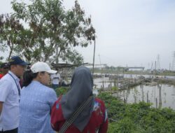 Ekowisata Mangrove di Tambakrejo, Agustina: Jaga Alam, Dorong Ekonomi Warga