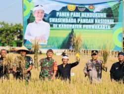 Panen Padi Lebih Cepat dan Efisien, Petani Purwakarta Rasakan Manfaat Teknologi Modern