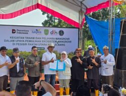 Tanggulangi Bencana Pesisir, TASPEN Tanam 1.175 Mangrove di Subang
