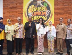Hari UMKM Nasional, Subang Perkuat Ekosistem Usaha dari Hulu ke Hilir