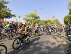 Ratusan Lansia Semarakkan Sepeda Sehat HUT ke-63 PWRI Indramayu