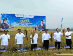 Burhanuddin & Amran Hadiri Panen Raya, Pemkab Bekasi Komitmen Perkuat Pertanian