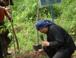 PT Handsome dan DLH Subang Tanam 325 Pohon, Dorong Mitigasi Perubahan Iklim