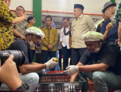 Wabup Subang Resmikan Ekspor 3 Ton Manggis ke China, Koperasi Desa Kian Mendunia