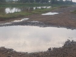 Gagal Dibiayai Provinsi, Sekdes Kihiyang Putar Otak: Jalan Desa Tetap Mulus!