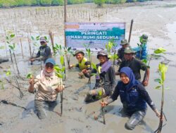 Hari Bumi 2026: Upaya Nyata Rehabilitasi Mangrove di Kabupaten Subang