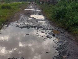 Jalan Tarum Timur Rusak Puluhan Tahun, Kades Mulyati: Sudah Diusulkan di Musrenbang 2025