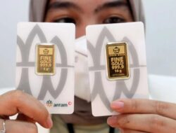 Grafik Harga Emas Antam 13 April 2026: Kembali Turun Hari Ini