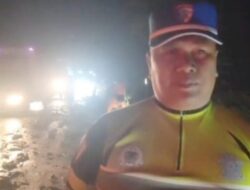 Pohon Tumbang Tutup Pantura, Arus Lalu Lintas Kembali Normal dalam 2 Jam