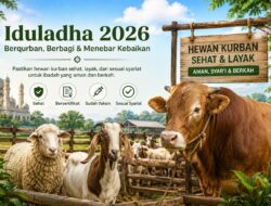 Domba dan Sapi Kurban di Jabar Naik Signifikan pada 2026