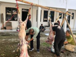 USK Majalengka Sembelih Dua Kambing Kurban Iduladha