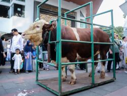 Sebanyak 18.036 Hewan Kurban di Bandung Dinyatakan Sehat