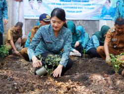 Gerakan Tanam Cabai Diluncurkan, Perkuat Ketahanan Pangan