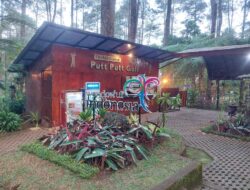 Destinasi Favorit Wisatawan, Orchid Forest Cikole Perkenalkan Kekayaan Alam Indonesia