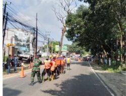 Tim Gabungan Pangkas Pohon Berbahaya di Jalur Nasional