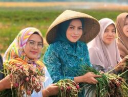 Desa Cilimus Diproyeksikan Jadi Contoh Petani Milenial