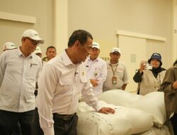 Mentan Amran Tinjau Pertanian Modern di Sukamandi, Dorong Produktivitas Padi hingga 12 Ton per Hektare