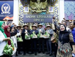 UU Reforma Agraria Disahkan, Baleg Dorong Penyelesaian Konflik Tanah Struktural