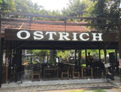 Ostrich Cafe Subang Padukan Kuliner, Rekreasi, dan Edukasi